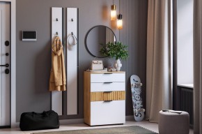 МЕБЕЛЬСОН К21 Прихожая в Дегтярске - degtyarsk.mebel24.online | фото