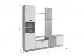 МОДИ Гостиная (модульная) белое дерево в Дегтярске - degtyarsk.mebel24.online | фото 2