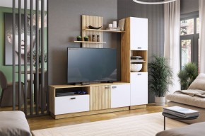 МОДИ К1 Гостиная (белое дерево) в Дегтярске - degtyarsk.mebel24.online | фото