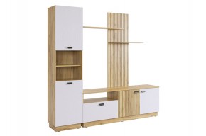 МОДИ К1 Гостиная (белое дерево) в Дегтярске - degtyarsk.mebel24.online | фото 6