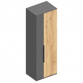 МОНИКА Шкаф для одежды в Дегтярске - degtyarsk.mebel24.online | фото 3