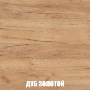 МСП-1 Шкаф 2-х створчатый (Дуб Золотой/Камень темный) в Дегтярске - degtyarsk.mebel24.online | фото 4