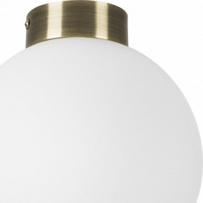 Накладной светильник Lightstar Globo 812021 в Дегтярске - degtyarsk.mebel24.online | фото 3