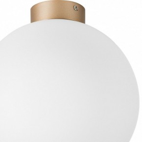 Накладной светильник Lightstar Globo 812033 в Дегтярске - degtyarsk.mebel24.online | фото 2