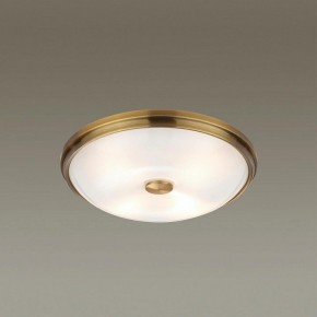 Накладной светильник Odeon Light Pelow 4956/4 в Дегтярске - degtyarsk.mebel24.online | фото 2