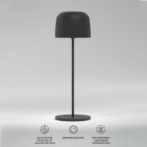 Настольная лампа декоративная Elektrostandard Bitty a069002 в Дегтярске - degtyarsk.mebel24.online | фото 2