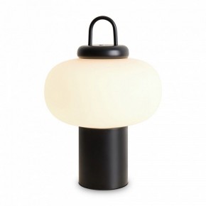 Настольная лампа декоративная Freya Take FR6175TL-L10B в Дегтярске - degtyarsk.mebel24.online | фото
