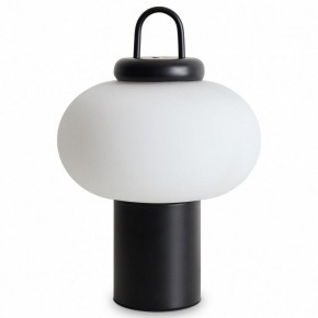 Настольная лампа декоративная Freya Take FR6175TL-L10B в Дегтярске - degtyarsk.mebel24.online | фото 2