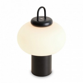 Настольная лампа декоративная Freya Take FR6175TL-L10B в Дегтярске - degtyarsk.mebel24.online | фото 3