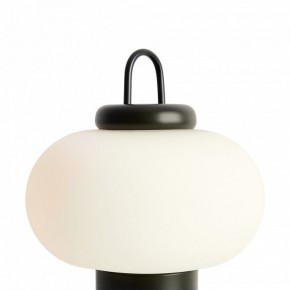 Настольная лампа декоративная Freya Take FR6175TL-L10B в Дегтярске - degtyarsk.mebel24.online | фото 5