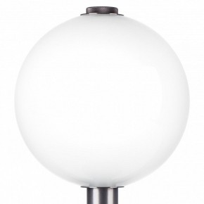 Настольная лампа декоративная Lightstar Colore 805916 в Дегтярске - degtyarsk.mebel24.online | фото 6
