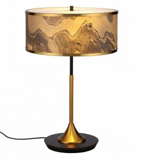 Настольная лампа декоративная Odeon Light Bergi 5064/2T в Дегтярске - degtyarsk.mebel24.online | фото