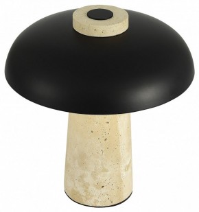 Настольная лампа декоративная ST-Luce Earthy SL1194.424.01 в Дегтярске - degtyarsk.mebel24.online | фото 5