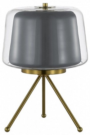 Настольная лампа декоративная ST-Luce Pandora SL6127.314.01 в Дегтярске - degtyarsk.mebel24.online | фото