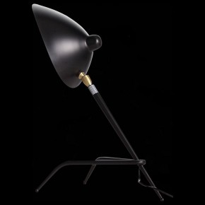 Настольная лампа декоративная ST-Luce Spruzzo SL305.404.01 в Дегтярске - degtyarsk.mebel24.online | фото 2