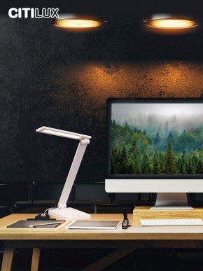 Настольная лампа офисная Citilux Ньютон CL803080 в Дегтярске - degtyarsk.mebel24.online | фото 10