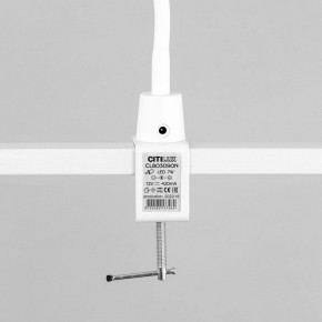Настольная лампа офисная Citilux Рио CL803090N в Дегтярске - degtyarsk.mebel24.online | фото 15
