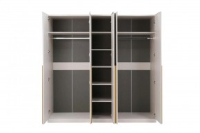 НИКОЛЬ 25 Шкаф 5-ти створчатый в Дегтярске - degtyarsk.mebel24.online | фото 3