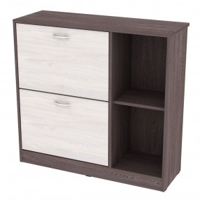 Обувница W29 (ЯАТ-ЯАС) в Дегтярске - degtyarsk.mebel24.online | фото