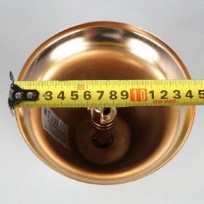 Подвесная люстра Aployt Alessio APL.858.03.31 в Дегтярске - degtyarsk.mebel24.online | фото 8