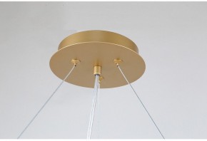 Подвесная люстра Favourite Ginkoa 4080-10P в Дегтярске - degtyarsk.mebel24.online | фото 9