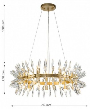 Подвесная люстра Favourite Rays 4058-14P в Дегтярске - degtyarsk.mebel24.online | фото 7