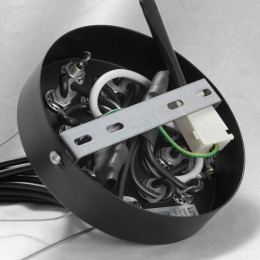Подвесная люстра Lussole Seneca GRLSP-8177 в Дегтярске - degtyarsk.mebel24.online | фото 10