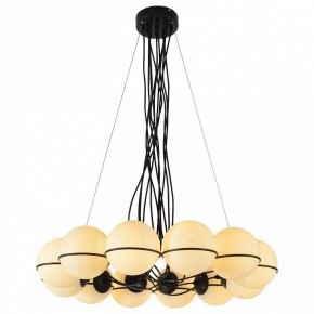 Подвесная люстра Lussole Seneca LSP-8177 в Дегтярске - degtyarsk.mebel24.online | фото