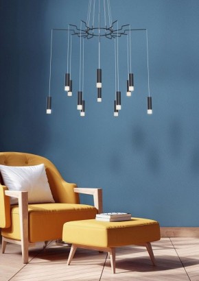 Подвесная люстра Maytoni Davida MOD035PL-12B в Дегтярске - degtyarsk.mebel24.online | фото 4
