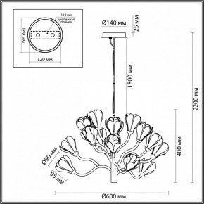 Подвесная люстра Odeon Light Gardi 5090/15 в Дегтярске - degtyarsk.mebel24.online | фото 6