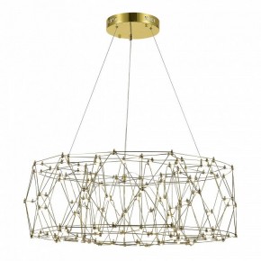 Подвесная люстра ST-Luce Gravetta SL6602.203.48 в Дегтярске - degtyarsk.mebel24.online | фото 3