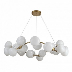 Подвесная люстра ST-Luce Sweven SL1519.303.24 в Дегтярске - degtyarsk.mebel24.online | фото 2
