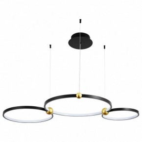 Подвесной светильник Divinare Amadeo 1123/04 SP-75 в Дегтярске - degtyarsk.mebel24.online | фото