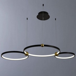Подвесной светильник Divinare Amadeo 1123/04 SP-75 в Дегтярске - degtyarsk.mebel24.online | фото 2