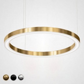 Подвесной светильник Imperiumloft Light Ring Horizontal 40.1454-100 в Дегтярске - degtyarsk.mebel24.online | фото