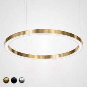 Подвесной светильник Imperiumloft Light Ring Horizontal 40.1454-120 в Дегтярске - degtyarsk.mebel24.online | фото