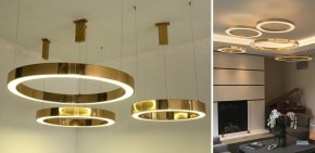 Подвесной светильник Imperiumloft Light Ring Horizontal 40.1454-120 в Дегтярске - degtyarsk.mebel24.online | фото 2