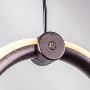 Подвесной светильник Lightstar Caramello 796289 в Дегтярске - degtyarsk.mebel24.online | фото 10