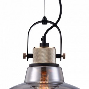 Подвесной светильник Maytoni Irving T163PL-01C в Дегтярске - degtyarsk.mebel24.online | фото 9