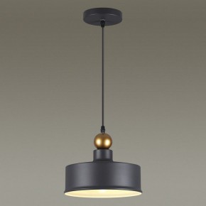 Подвесной светильник Odeon Light Bolli 4088/1 в Дегтярске - degtyarsk.mebel24.online | фото 4