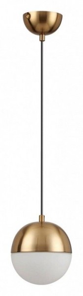 Подвесной светильник Odeon Light Pinga 4960/1 в Дегтярске - degtyarsk.mebel24.online | фото 3