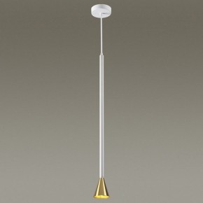 Подвесной светильник Odeon Light Pipa 3884/1GW в Дегтярске - degtyarsk.mebel24.online | фото 3