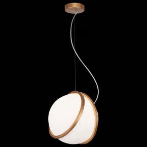 Подвесной светильник ST-Luce Acerra SL1181.353.01 в Дегтярске - degtyarsk.mebel24.online | фото 4
