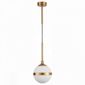 Подвесной светильник ST-Luce Arbe SL1157.303.01 в Дегтярске - degtyarsk.mebel24.online | фото 2