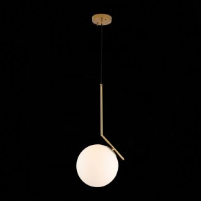 Подвесной светильник ST-Luce Codda SL1148.303.01 в Дегтярске - degtyarsk.mebel24.online | фото 5