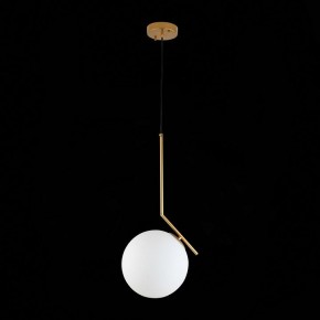 Подвесной светильник ST-Luce Codda SL1148.303.01 в Дегтярске - degtyarsk.mebel24.online | фото 6