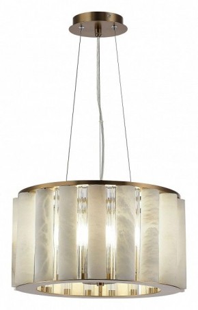 Подвесной светильник ST-Luce Delight SL1516.303.06 в Дегтярске - degtyarsk.mebel24.online | фото 3