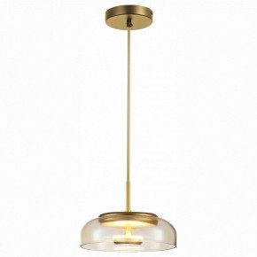 Подвесной светильник ST-Luce Lacio SL6002.203.01 в Дегтярске - degtyarsk.mebel24.online | фото