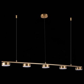 Подвесной светильник ST-Luce Pances SL6000.303.05 в Дегтярске - degtyarsk.mebel24.online | фото 6