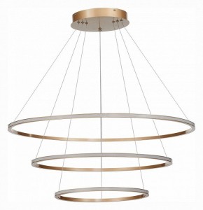 Подвесной светильник ST-Luce ST604 OUT ST604.243.114 в Дегтярске - degtyarsk.mebel24.online | фото 2